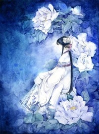 哪狐不開提哪狐